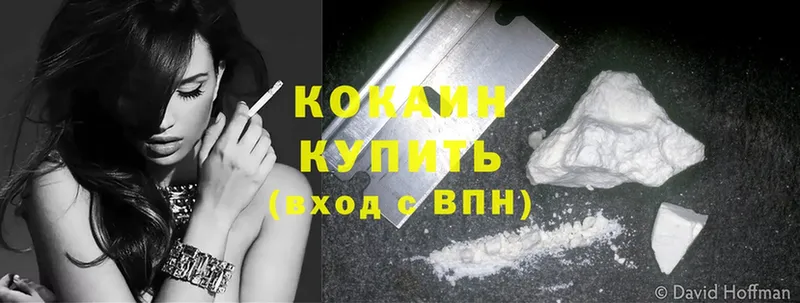 цены наркотик  Порхов  Кокаин FishScale 